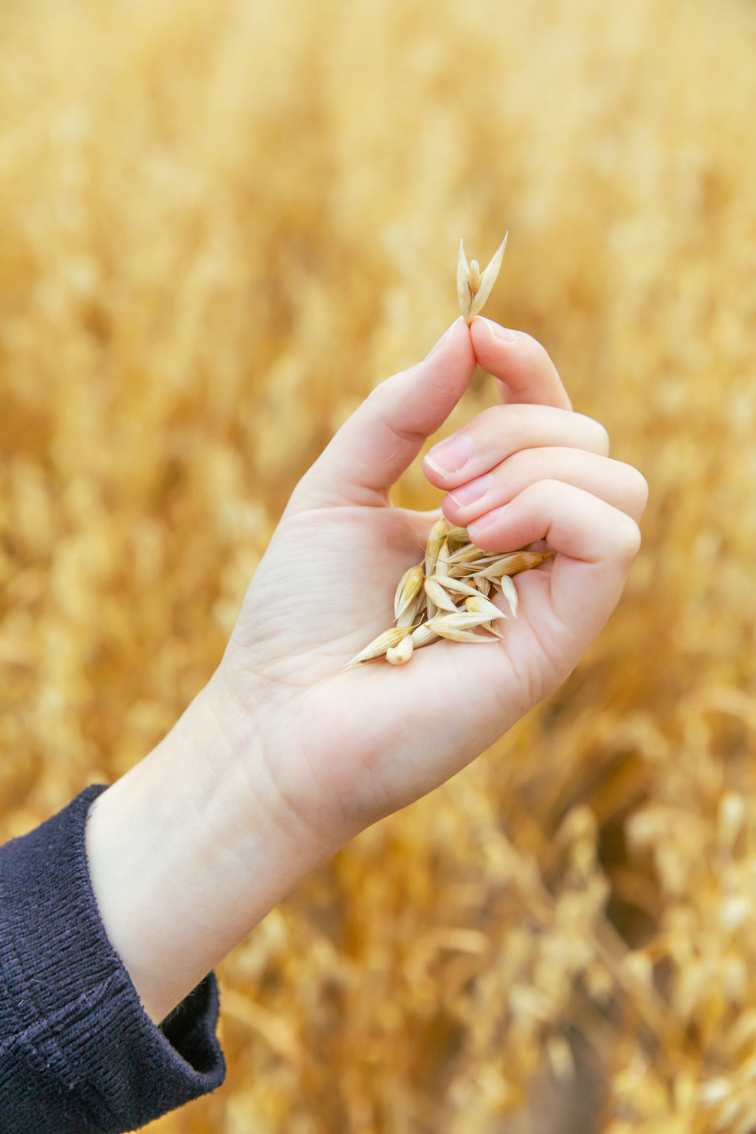 Health Benefits of Oats