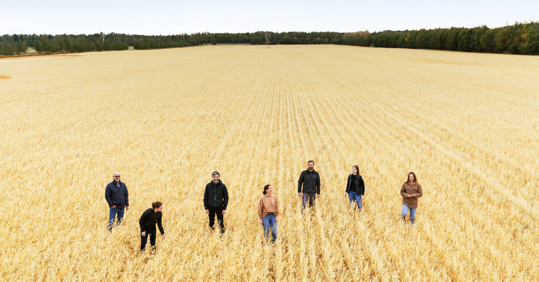 Team Oatbox in the fields